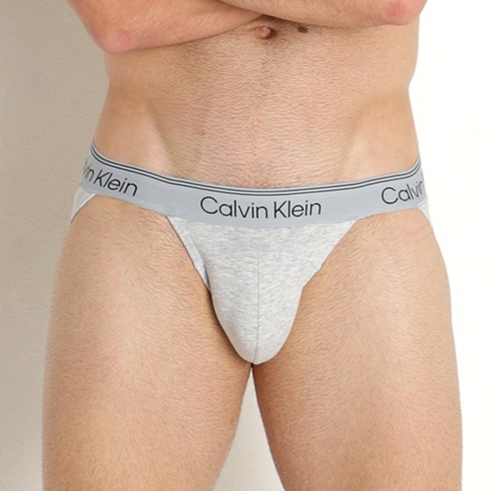Calvin Klein Gray Briefs